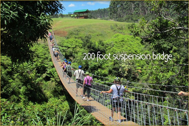 Visitors cross a river gorge via the 200-foot suspension bridge at Umauma Falls Zipline course, Big Island, Hawaii.
