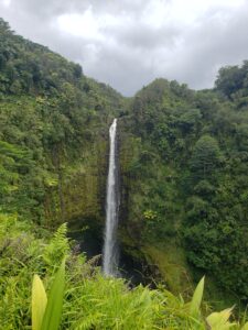 Akaka Falls, a thundering 442-foot waterfall located just outside of Hilo, Hawaii.