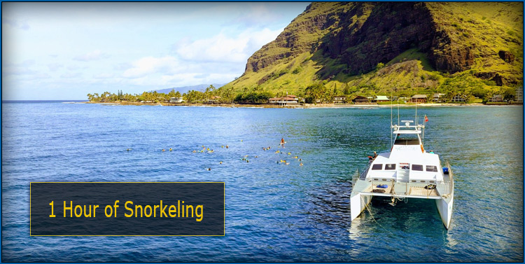 One hour snorkel stop included with the Sunset Snorkel Cruise.