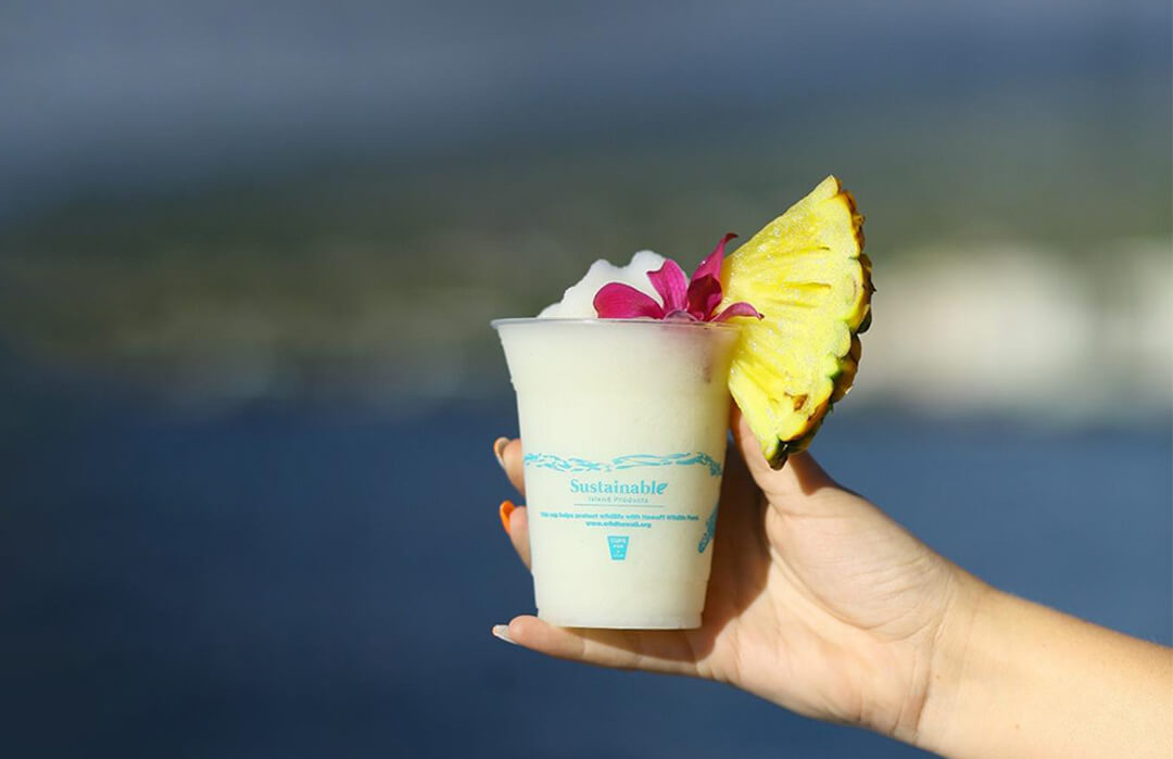 Hand crafted cocktails available on the Body Glove catamaran in Kona 