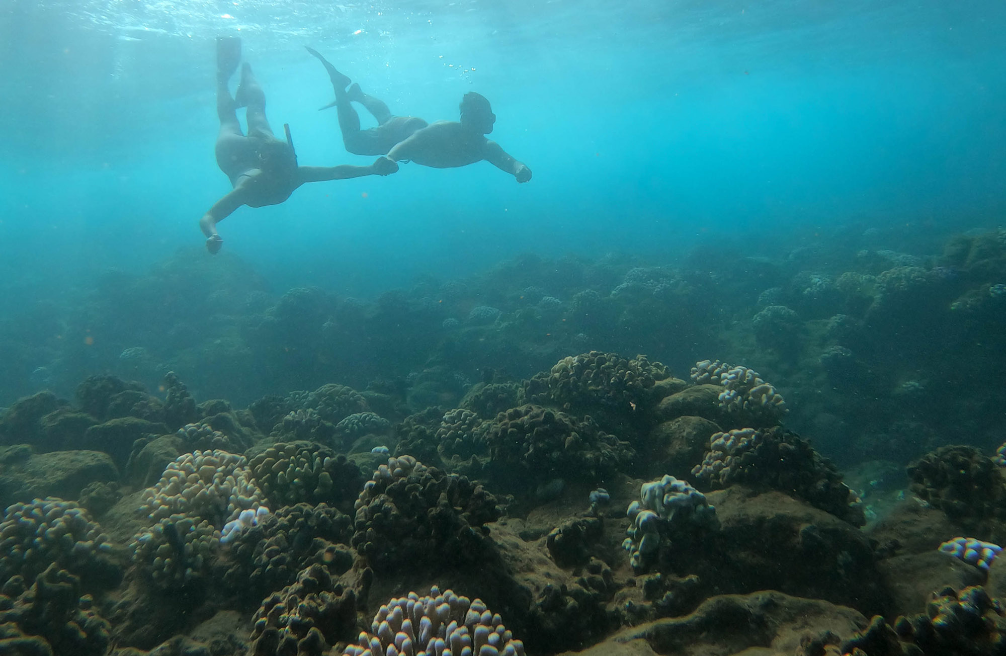 Two snorkelers explore the reefs of the Na Pali coast on one of the snorkel tours on Kauai.