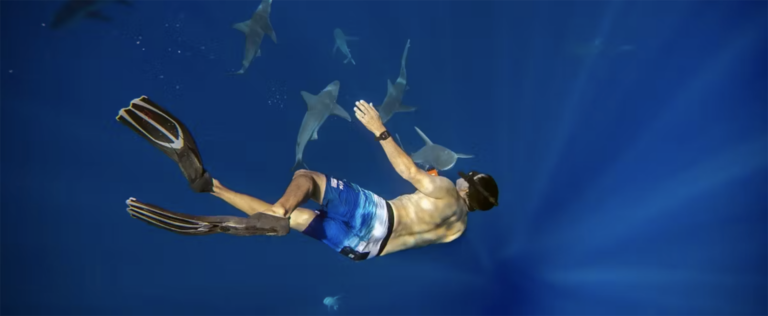 A man in snorkel gear swims with sharks on Deep Water Snorkel with Sharks tour.