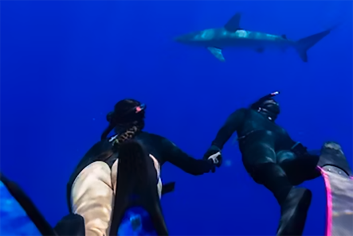 Two people hold hands while swimming under water near a shark.