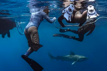 Guests swim with snorkel gear near the boat as a shark swims below.