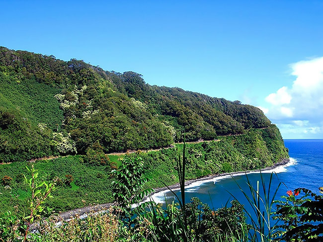A road is carved into a lush hillside above a rocky ocean beach.