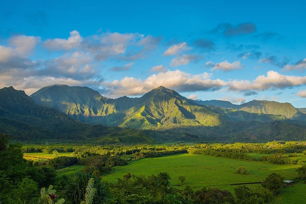 Green mountains stand tall behind the taro fields of the Hanalei Valley.