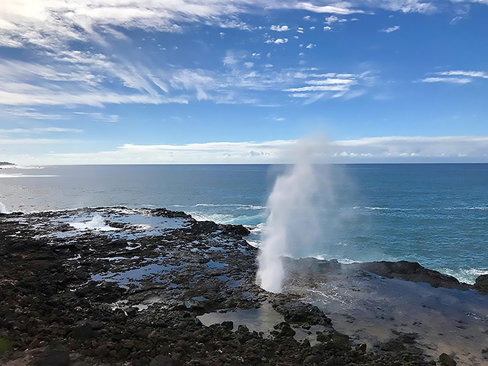 A plume of ocean water sprays up from a blowhole on the coast of Kauai, Hawaii.