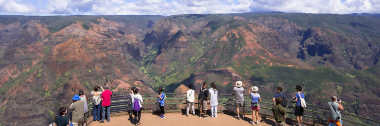 Tourist stand at the guardrail overlooking the canyon on the Kauai Waimea Canyon and Fern Grotto Tour.